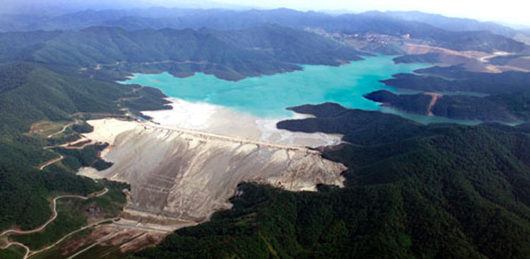 金钼股份_闰土股份_洋河股份刘聪聪写真